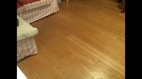 Snapshot of xmystiqdreamsx chatting on January 26, 12:01 pm xmystiqdreamsx online show from January 26, 12:01 pm