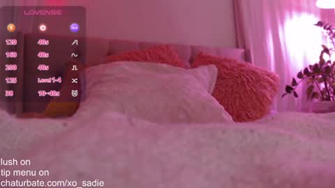Xo Sadie online show from June 16, 7:33 am