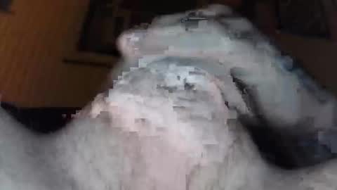 Snapshot of xoxossdfm8894982459 chatting on December 20, 3:46 am xoxossdfm8894982459 online show from December 20, 3:46 am