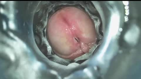 xoxowtf online show from December 16, 7:43 pm