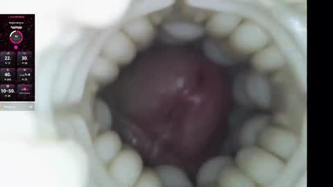 xoxowtf online show from February 9, 11:20 pm