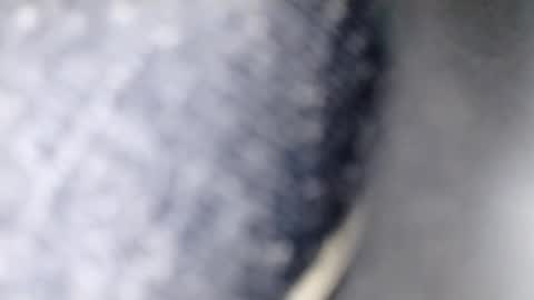 Snapshot of xploid1982 chatting on December 17, 1:33 am xploid1982 online show from December 17, 1:33 am