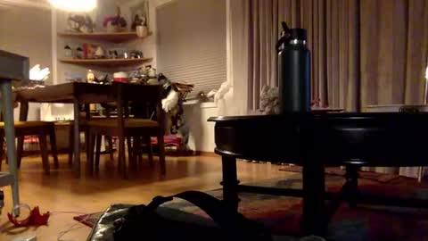 yayalala online show from December 2, 3:37 am