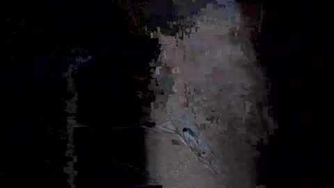 Vera online show from January 14, 11:53 pm