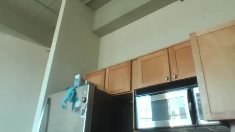 Snapshot of xxxdanidoomsdayxxx chatting on December 3, 8:29 pm Danielle online show from December 3, 8:29 pm