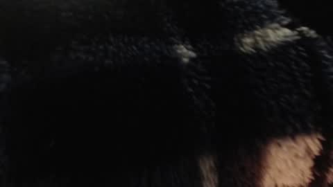 Snapshot of xxxking89 chatting on December 14, 5:36 pm xxxking89 online show from December 14, 5:36 pm