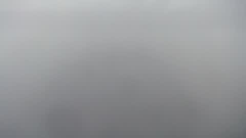 Lana online show from June 19, 8:40 am