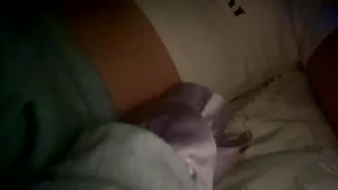 Snapshot of xxxsophiaday chatting on October 4, 8:56 am xxxsophiaday online show from October 4, 8:56 am