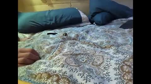 Xzbib online show from March 10, 12:29 am