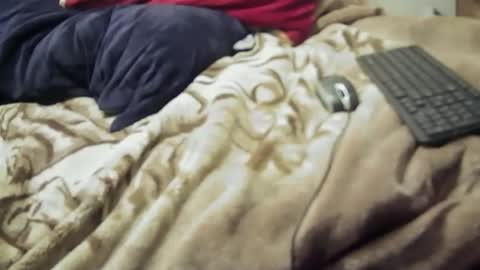 yangolox3 online show from February 23, 8:55 am