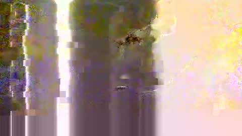 Snapshot of yangolox3 chatting on May 12, 2:30 am yangolox3 online show from May 12, 2:30 am
