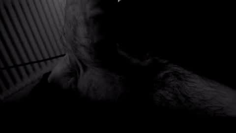 yeasayer online show from November 2, 9:28 pm