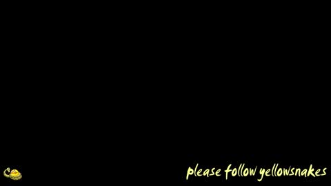 .     y e l l o w s n a k e s       . online show from March 26, 9:20 pm