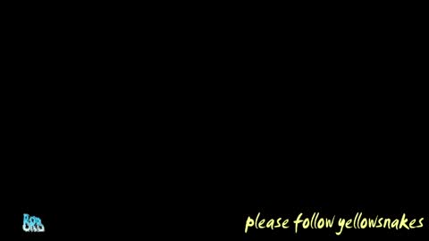 .     y e l l o w s n a k e s       . online show from May 12, 5:10 pm