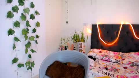 YEM online show from June 11, 4:16 pm