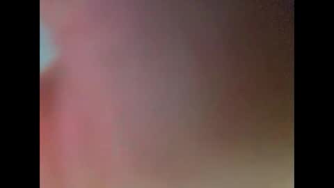 yorks1er online show from November 6, 11:44 am