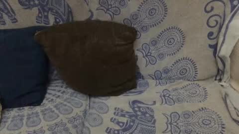 AlexBlack online show from January 11, 11:54 pm