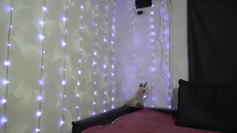 Snapshot of your_little_flexible_girl chatting on February 20, 9:15 pm Meri online show from February 20, 9:15 pm