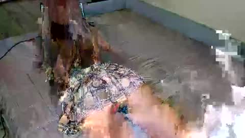 Ariella online show from May 24, 9:58 am