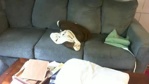 Snapshot of yourpoppi55 chatting on July 13, 4:54 pm yourpoppi55 online show from July 13, 4:54 pm