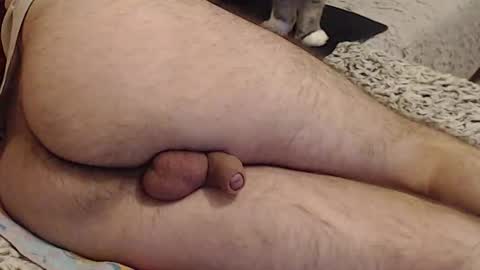 Snapshot of yowlo chatting on September 22, 3:30 am Yowlo online show from September 22, 3:30 am