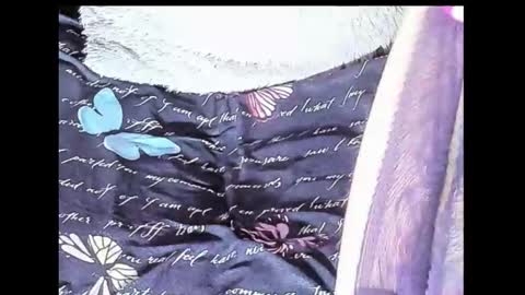 Snapshot of yukiodavis chatting on October 10, 1:48 am Yukio Davis online show from October 10, 1:48 am