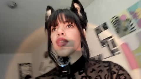 paola online show from November 26, 8:43 pm