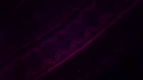 Z0RL0C online show from February 14, 9:06 am