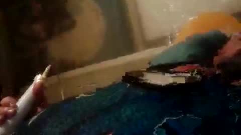 Z0RL0C online show from June 2, 6:37 am