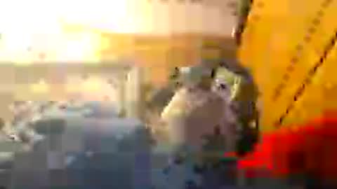 Z0RL0C online show from August 1, 6:18 pm