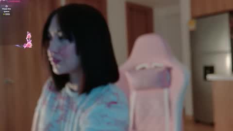 zamila online show from March 12, 11:05 am