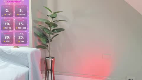 Zary online show from November 26, 12:17 pm