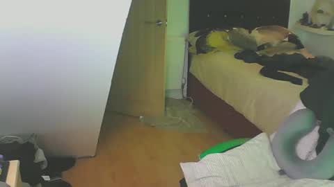 Zed online show from December 28, 4:09 pm