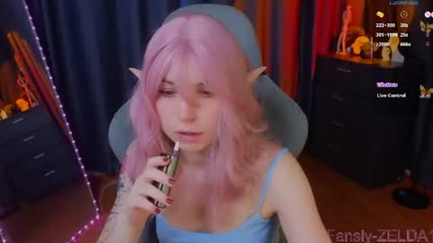 Zelda online show from July 26, 1:51 pm