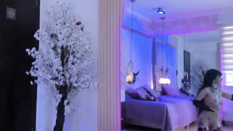    online show from February 27, 8:42 pm