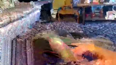 Zerr online show from November 1, 9:00 am