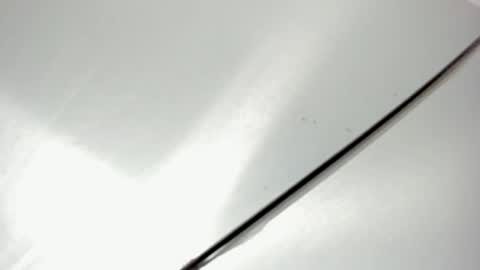 zia online show from February 20, 11:22 am