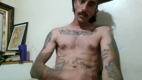 zikaa1 online show from November 23, 6:57 am