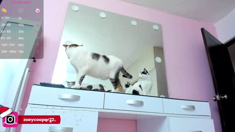 Snapshot of zoey_cooper chatting on December 30, 8:15 pm zoey Independent model online show from December 30, 8:15 pm