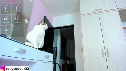 Snapshot of zoey_cooper chatting on November 15, 1:36 am zoey Independent model online show from November 15, 1:36 am