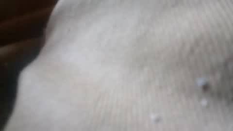 Snapshot of zoeybaby555gfr chatting on June 4, 5:08 pm bigdickdaddy online show from June 4, 5:08 pm