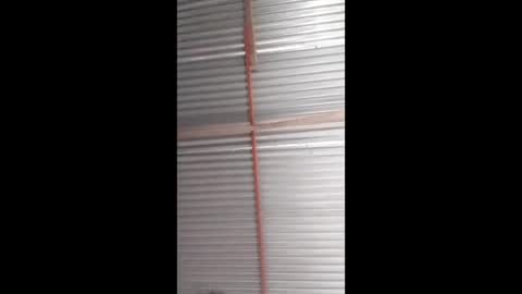 zzzlannimuslzzz online show from March 8, 10:02 pm