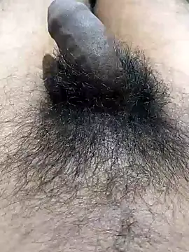 Snapshot of Nishu12356g chatting on December 11, 10:38 pm Nishu12356g online show from December 11, 10:38 pm