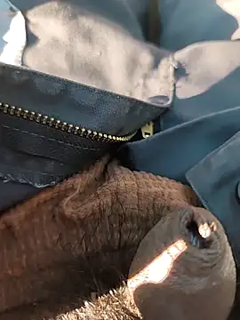 Snapshot of Nishu12356g chatting on September 20, 2:40 pm Nishu12356g online show from September 20, 2:40 pm