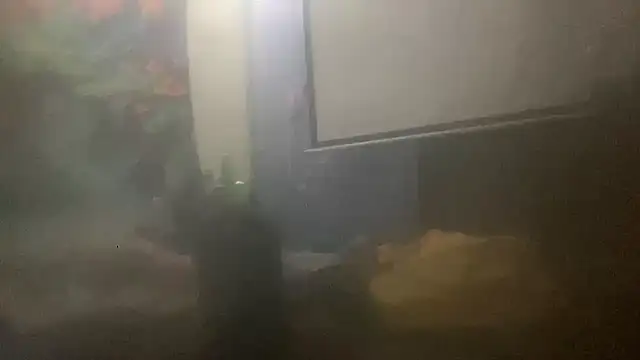 Fr4nk1eFFuxxx online show from March 14, 9:48 am