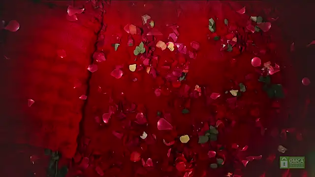 abbyhall  online show from February 14, 8:49 pm