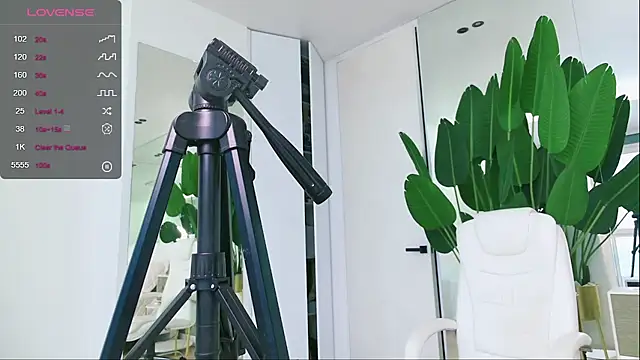 wowEva online show from January 31, 11:56 am