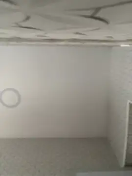 Lia flowers online show from February 9, 10:43 pm