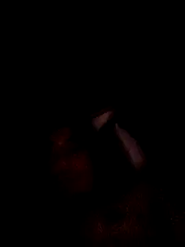 hungpenis210 online show from February 23, 10:23 am