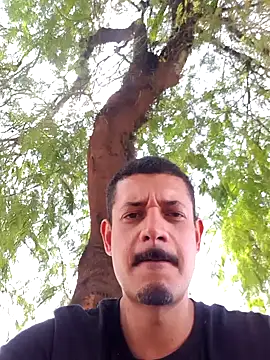 bond Mask online show from March 18, 2:53 pm